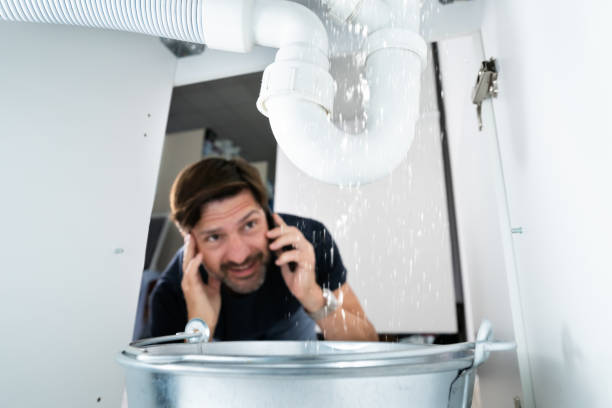 Best Sprinkler Systems  in Mcleansboro, IL