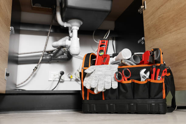 Best Clogged Drain Plumber  in Mcleansboro, IL