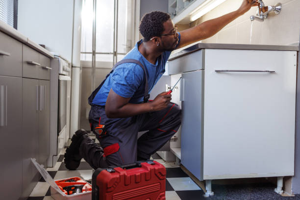 Best Septic Systems  in Mcleansboro, IL